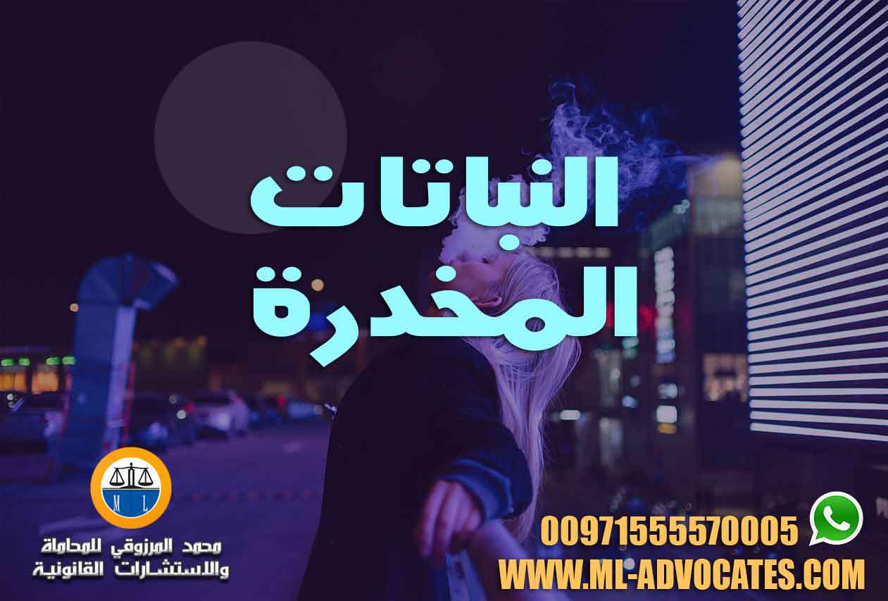 النباتات المخدرة - محامي قضايا مخدرات